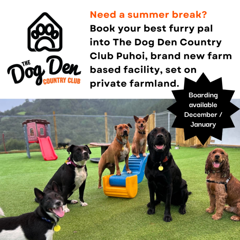 https://www.thedogden.co.nz/wp-content/uploads/2024/10/Unleash-the-fun-at-The-Dog-Den-Country-Club-Instagram-Post-5-800x800.png